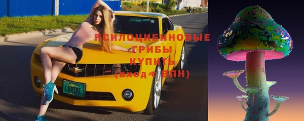 прущие грибы Мегион