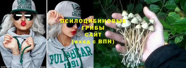 a pvp Аша