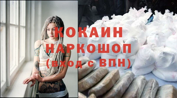 прущие грибы Мегион