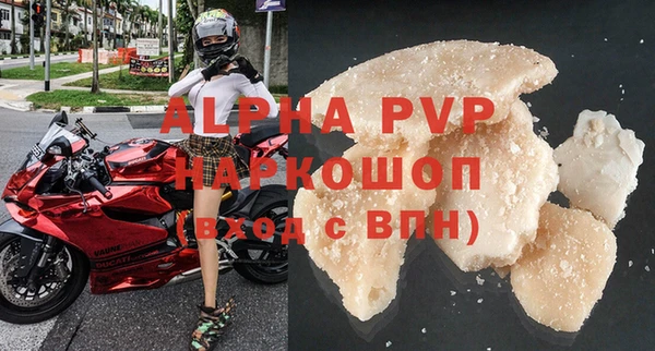 прущие грибы Мегион