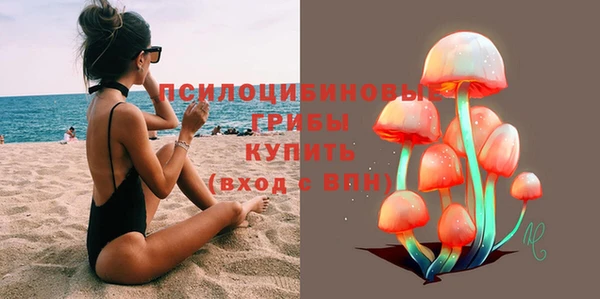 прущие грибы Мегион