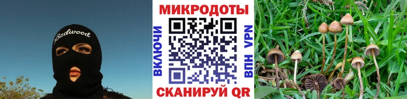 Галлюциногенные грибы ЛСД  купить  цена  Гвардейск 